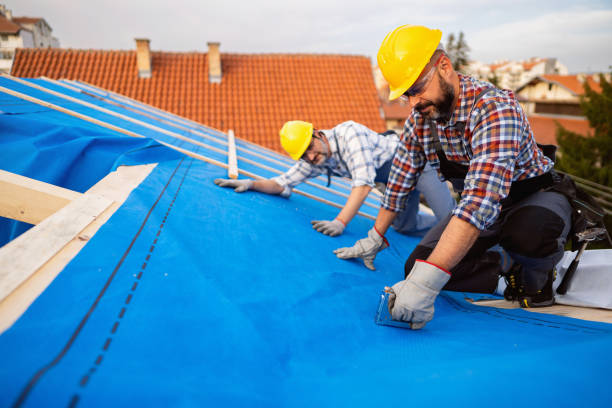 Best Metal Roofing Installation  in Sebastian, TX